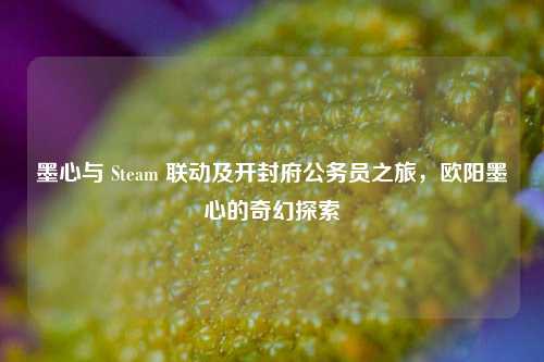 墨心与 Steam 联动及开封府公务员之旅,欧阳墨心的奇幻探索