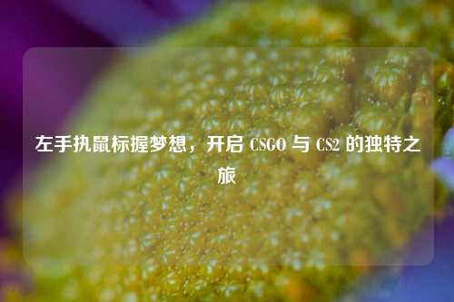 左手执鼠标握梦想,开启 CSGO 与 CS2 的独特之旅