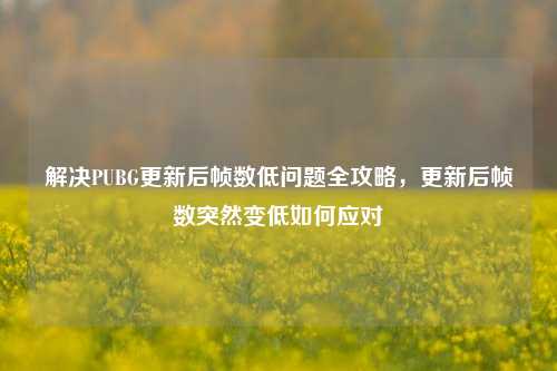 解决PUBG更新后帧数低问题全攻略,更新后帧数突然变低如何应对