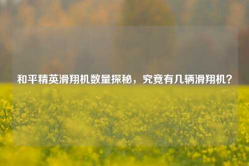 和平精英滑翔机数量探秘，究竟有几辆滑翔机？