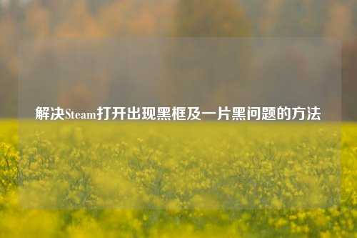 解决Steam打开出现黑框及一片黑问题的方法