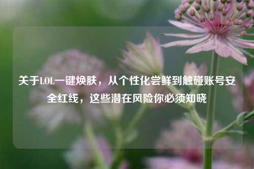 关于LOL一键焕肤,从个性化尝鲜到触碰账号安全红线,这些潜在风险你必须知晓