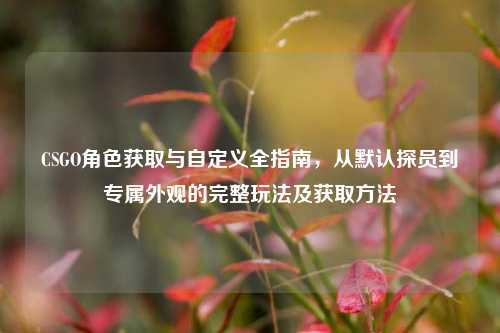 CSGO角色获取与自定义全指南,从默认探员到专属外观的完整玩法及获取方法
