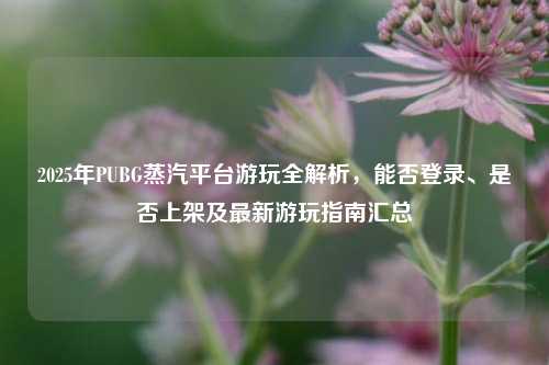 2025年PUBG蒸汽平台游玩全解析，能否登录、是否上架及最新游玩指南汇总