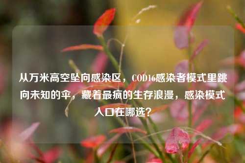 从万米高空坠向感染区,COD16感染者模式里跳向未知的伞,藏着最疯的生存浪漫,感染模式入口在哪选?
