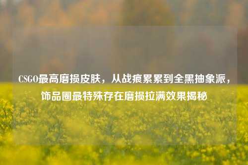 CSGO最高磨损皮肤,从战痕累累到全黑抽象派,饰品圈最特殊存在磨损拉满效果揭秘