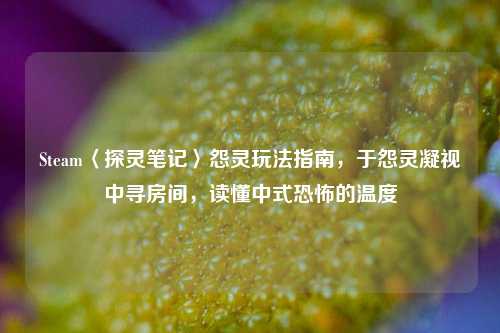 Steam〈探灵笔记〉怨灵玩法指南，于怨灵凝视中寻房间，读懂中式恐怖的温度
