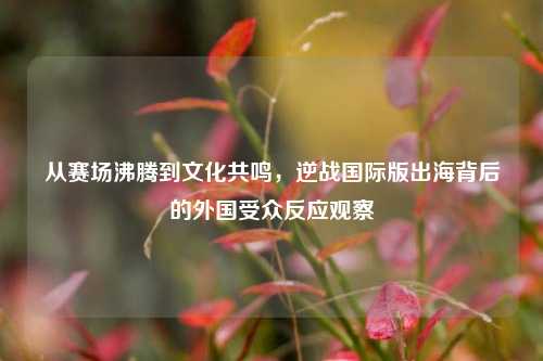 从赛场沸腾到文化共鸣,逆战国际版出海背后的外国受众反应观察