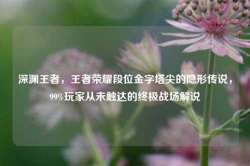 深渊王者,王者荣耀段位金字塔尖的隐形传说,99%玩家从未触达的终极战场解说