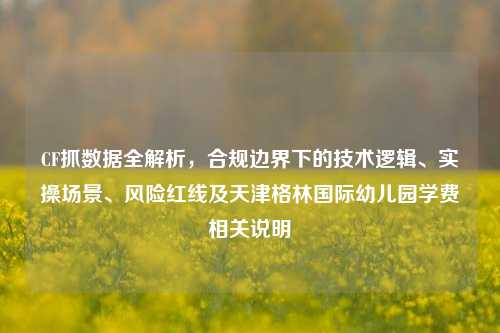 CF抓数据全解析，合规边界下的技术逻辑、实操场景、风险红线及天津格林国际幼儿园学费相关说明