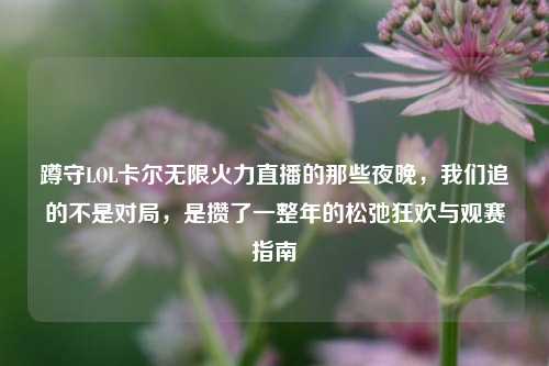 蹲守LOL卡尔无限火力直播的那些夜晚，我们追的不是对局，是攒了一整年的松弛狂欢与观赛指南