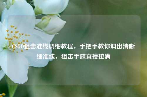 CSGO狙击准线调细教程，手把手教你调出清晰细准线，狙击手感直接拉满