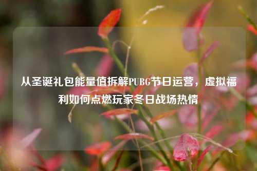 从圣诞礼包能量值拆解PUBG节日运营,虚拟福利如何点燃玩家冬日战场热情
