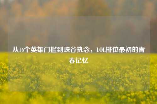 从16个英雄门槛到峡谷执念,LOL排位最初的青春记忆