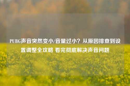 PUBG声音突然变小/音量过小?从原因排查到设置调整全攻略 看完彻底解决声音问题
