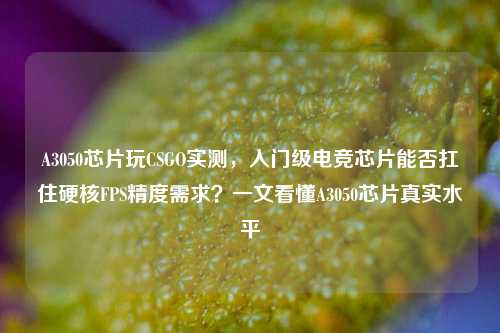 A3050芯片玩CSGO实测,入门级电竞芯片能否扛住硬核FPS精度需求?一文看懂A3050芯片真实水平