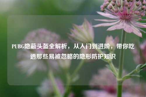 PUBG隐蔽头盔全解析,从入门到进阶,带你吃透那些易被忽略的隐形防护知识