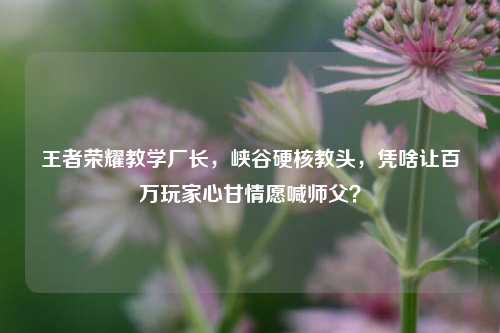 王者荣耀教学厂长，峡谷硬核教头，凭啥让百万玩家心甘情愿喊师父？