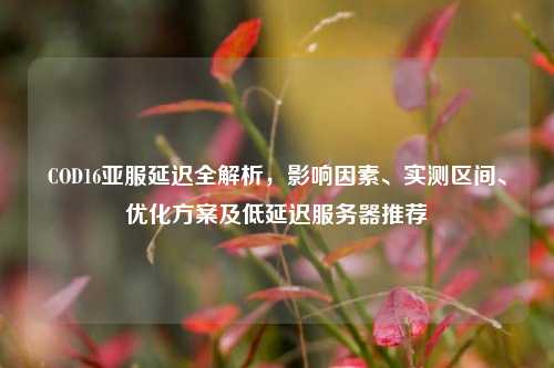 COD16亚服延迟全解析，影响因素、实测区间、优化方案及低延迟服务器推荐