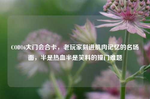 COD16大门会合卡，老玩家刻进肌肉记忆的名场面，半是热血半是笑料的撞门难题