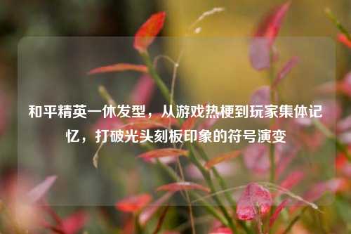 和平精英一休发型，从游戏热梗到玩家集体记忆，打破光头刻板印象的符号演变