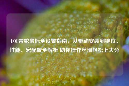 LOL雷蛇鼠标全设置指南,从驱动安装到键位、性能、宏配置全解析 助你操作丝滑轻松上大分