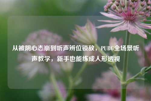 从被阴心态崩到听声辨位锁敌，PUBG全场景听声教学，新手也能练成人形透视