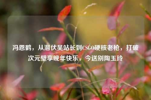 冯恩鹤，从潜伏吴站长到CSGO硬核老枪，打破次元壁享晚年快乐，今送别陶玉玲