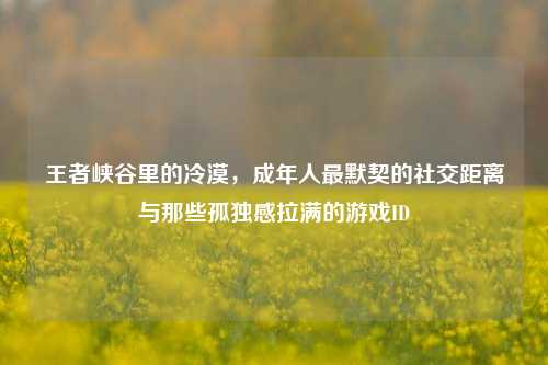 王者峡谷里的冷漠,成年人最默契的社交距离与那些孤独感拉满的游戏ID