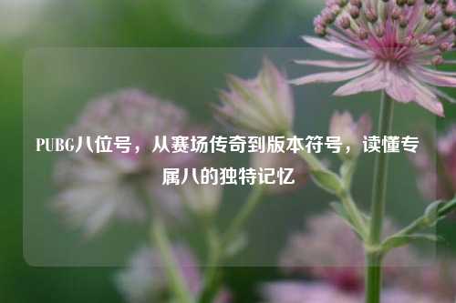 PUBG八位号,从赛场传奇到版本符号,读懂专属八的独特记忆