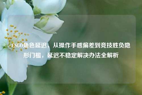 CSGO角色延迟,从操作手感偏差到竞技胜负隐形门槛,延迟不稳定解决办法全解析