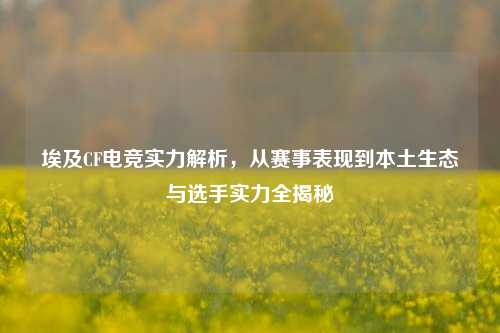 埃及CF电竞实力解析,从赛事表现到本土生态与选手实力全揭秘