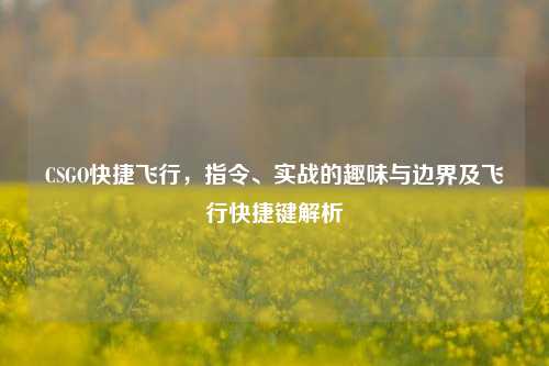 CSGO快捷飞行,指令、实战的趣味与边界及飞行快捷键解析