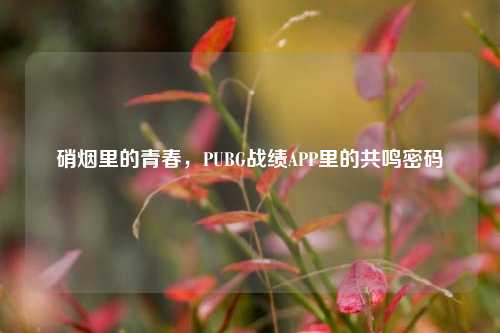 硝烟里的青春，PUBG战绩APP里的共鸣密码