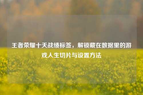 王者荣耀十天战绩标签,解锁藏在数据里的游戏人生切片与设置方法
