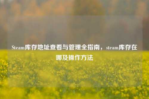 Steam库存地址查看与管理全指南,steam库存在哪及操作方法