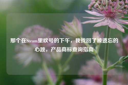 那个在Steam里吹号的下午，我找回了被遗忘的心跳，产品商标查询指南