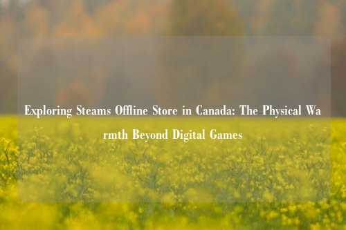 Exploring Steams Offline Store in Canada: The Physical Warmth Beyond Digital Games