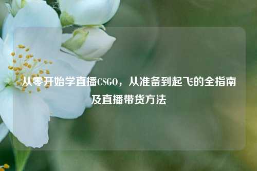 从零开始学直播CSGO,从准备到起飞的全指南及直播带货方法