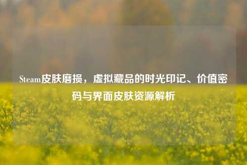 Steam皮肤磨损，虚拟藏品的时光印记、价值密码与界面皮肤资源解析