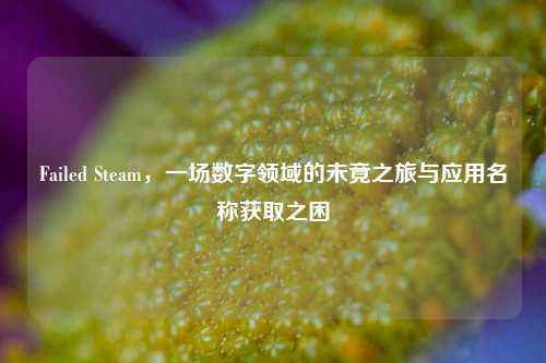 Failed Steam,一场数字领域的未竟之旅与应用名称获取之困