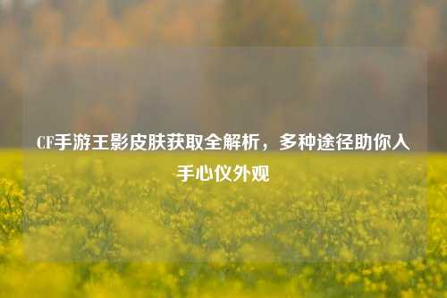 CF手游王影皮肤获取全解析,多种途径助你入手心仪外观