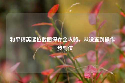 和平精英键位截图保存全攻略,从设置到操作一步到位
