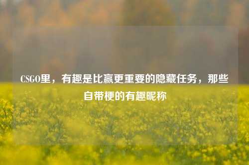 CSGO里，有趣是比赢更重要的隐藏任务，那些自带梗的有趣昵称