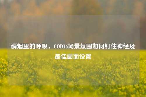 硝烟里的呼吸,COD16场景氛围如何钉住神经及最佳画面设置