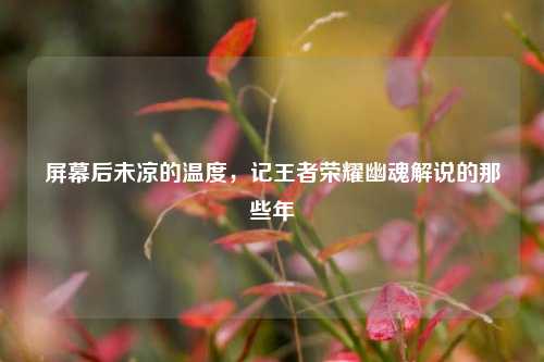 屏幕后未凉的温度,记王者荣耀幽魂解说的那些年