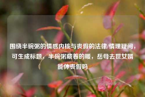 围绕半碗粥的情感内核与丧假的法律/情理疑问，可生成标题，半碗粥藏着的暖，岳母去世女婿能休丧假吗