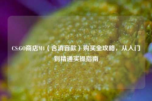 CS:GO商店M4(含消音款)购买全攻略,从入门到精通实操指南