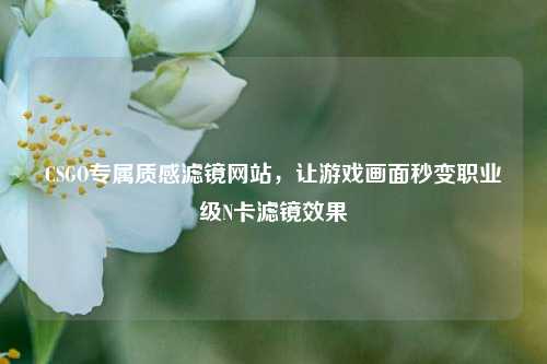 CSGO专属质感滤镜网站,让游戏画面秒变职业级N卡滤镜效果