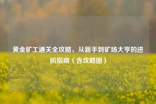 黄金矿工通关全攻略，从新手到矿场大亨的进阶指南（含攻略图）